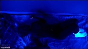 Nikki Sims nikki sims bl bodypaint 01 thumb - Black Light Body Paint Full