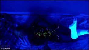 Nikki Sims nikki sims bl bodypaint 04 thumb - Black Light Body Paint Full
